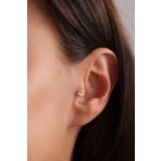 Kedi Köpek Pati Tragus Küpe