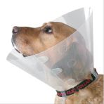 Kedi Köpek Yakalığı Small 12,5cm ø/ 28-33cm