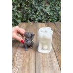 Kedi Lokum Silikon Mum Kalıbı