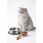 Kedi Mama Kabı Paslanmaz Çelik + Mama Ölçeği 180 ml – Kaymaz Taban Metal Mama Kabı 22 Cm - 1 Adet