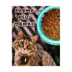 Kedi Maması Gourmet Karma Tatlarda 5 kg