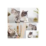 Kedi Nanesi Oyun Topu TYC9767A24D4B91F1CED2D500