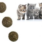 Kedi Nanesi Topu 3 Adet 2.5 cm Nepeta cataria