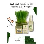 Kedi Otu Çimi Kiti – Evde Yetiştir, Pratik ve Eğlenceli Set 4 Parça