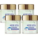 Kedi Otu Kremi 50 ml Kafur Ağacı Yağlı Paincream 4 Adet - 1Paket