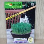 Kedi Otu Tohumu Paket Ucretsiz Kargo