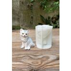 Kedi Pamuk Tekli Silikon Mum Kalıbı