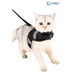 Kedi Tasması Göğüs Boyun Tasma Seti Sevk Kayışlı Terletmeyen Nefes Alan Reflektörlü Tasma L Siyah 8682874817278