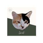 Kedi Temalı Kurabiye Ve Hamur Şekillendirici (KİŞİYE ÖZEL TASARIM)