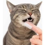 Kedi ve Köpek Için Silikon Parmak Diş Kaşıyıcı Dil Temizleyici Diş Fırçası