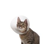 Kedi ve Köpek için Yakalık 75 MM