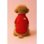 Kedi ve Köpek Kıyafeti & Elbisesi - Kırmızı Sweatshirt Papatya Cep - XS