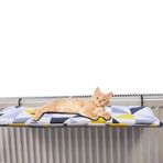 Kedi Yatagı Kalorifer Radyatör Kedi Yatagı 60cm x 30cm
