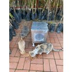Kedi yuvası Kedi evi ISI VE SU yalıtımlı % 100 KORUNAKLI -11 MM OSB -