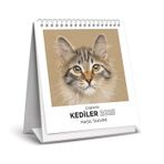 Kediler 2025 Masa Takvimi Çizgilerle