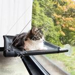 Kediler İçin Cam Askılığı Kedi Yatağı