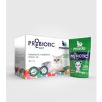 Kediler Için Probiyotik Ve Prebiyotik Takviyesi 30x1gr Kutu