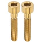 Keenso Bisiklet Gövdesi Vidaları, 2 Adet M6 X 30 mm Titanyum Alaşım Bisiklet Gidon Gövde Cıvataları Dağ Bisikleti Yol Bisikleti Kulaklık Başlığı Vida Seti (Altın)