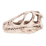 Keenso Masaüstü Dekoru, Reçine Dinozor Model Hayvan Kafatası Modeli, Reçine Dinozor Kafatası Modeli 4.92 * 1,57 * 2,56 inç Ofis Öğrenci Sınıfı Ev için Simüle Hayvan İskelet