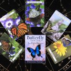 Kelebek Oracle Stili Cadının Mevsimleri Oracle Kartları Samhain Oracle Sıcak Satılık Rider Tarot Kartları Fal Bakımı Tarot Destesi (Yurt Dışından)
