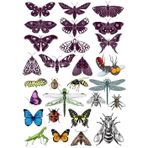 Kelebek Sticker Set-1 18 Parça Telefon, Tablet, Defter, Laptop Sticker