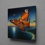 Kelebek Ve Deniz Kanvas Tablo 60x60cm