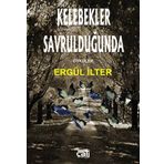 Kelebekler Savrulduğunda - Ergül İlter