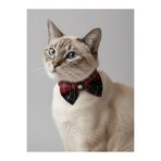 Kemique Aristokrat Kedi Papyonu Kurdela Tasma Yılbaşı Noel
