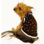Kemique Black Hearts Siyah Köpek Kıyafeti