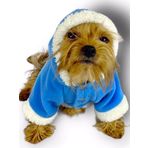 Kemique Blue Furry Kapşonlu Ceket Sweat Köpek Kazağı L