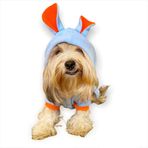Kemique Bon Bunny Blue Kulaklı Köpek Tulumu Kıyafeti M