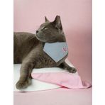 Kemique Butterfly Kedi Bandana, Fular, Kedi Kıyafeti Kedi Elbisesi, Kedi Tasması
