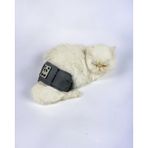 Kemique Kedi Çiş Bel Bandı Yıkanabilir Sızdırmaz Kedi Kıyafeti