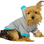 Kemique Kitty Grey Kapşonlu Sweat Köpek Kazağı GRİ XXL