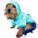 Kemique L Mavi Blue Bear Kapşonlu Sweat By Kemique Köpek Kazağı
