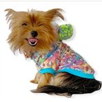 Kemique L Renkli Kitty Kapşonlu Sweat By Kemique Köpek Kazağı