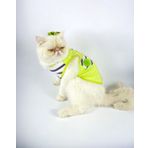 Kemique Lime Fuzz Atlet Kedi Kıyafeti Kedi Elbisesi S