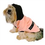 Kemique London Pineapple Kapşonlu Sweat Köpek Kazağı PEMBE 3XL