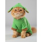 Kemique Matcha Bunny Kedi Tulumu,Kıyafeti