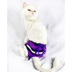 Kemique Modern Purp Mor Kedi Külot