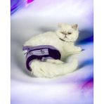 Kemique Mor Sevimli Fare 's Secret Kedi İç Çamaşırı Regl Külodu