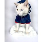 Kemique Neo Tommie Kapşonlu Kedi Sweatshirt Kedi Kıyafeti Kedi Elbisesi Kedi Giyim L
