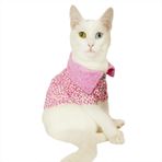 Kemique Pink Leo Cutie Polo Yaka Tişört Kedi Kıyafeti Kedi Elbisesi XXL