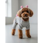 Kemique Ponpon Şeker Köpek Tulumu & Bere Takımı | Şardonlu Polar Kumaş | Küçük Irk Köpekler İçin | Tüy Dökülmesini Azaltır