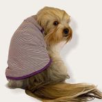 Kemique Purple Stripe Mor Köpek Elbisesi