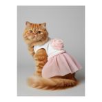 Kemique Rosie Pink Tütü Kedi Kıyafeti | Pembe Tütülü Elbise | Kediler İçin