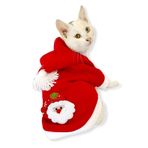 Kemique Santa Neo Kapşonlu Polar Noel Yılbaşı Kedi Kıyafeti KIRMIZI XL