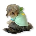 Kemique Su Yeşili Kelebek Kapşonlu Sweat By Köpek Kazağı