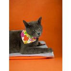 Kemique Summer Kedi Bandana, Fular, Kedi Kıyafeti Kedi Elbisesi, Kedi Tasması