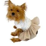 Kemique Sun Cream Tütülü Tutu L Köpek Elbisesi
